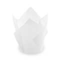 Tulipánový cukrárenský košíček biely O50 x 85cm/ 16 x 16cm (100ks)